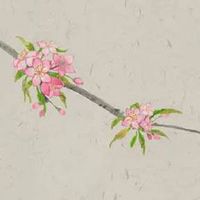 耳朵小但是双耳贴脑 双耳贴脑富贵到老