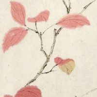 姓名配对免费测试两人关系 姓名解析看命运免费