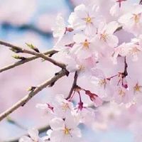 2022农业名称取什么好听 高端又典雅的农业名推荐