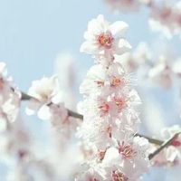 养殖公司起什么名2022热门 养殖企业取有档次的名称