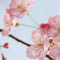 好记的水产公司名称 经典吉祥水产公司名推荐