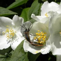 Ezoey xu ping 4月2022年星座