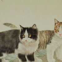 手机号666跟999哪个好 顺口守财靓号数组