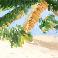 十二仙女性的原因是什么？ （形象的）