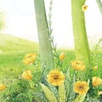 女人属虎本命年送什么礼物好 小猪玩偶让虎女情绪佳