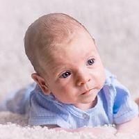 Tiger Baby的首选的首选，2022年初出生，优雅