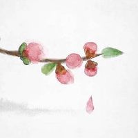 清明节祭拜有什么讲究 清明节祭祖可以提前几天