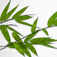 清明节祭扫一般是前后多少天 清明节祭祖祭文怎么写