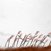 清明节吃什么传统食物 清明节吃青团子的寓意