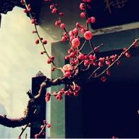 1976年属龙2022年贵人运好不好 脚踏实地终有所成