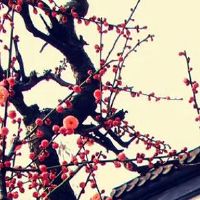 1976年属龙2022年46岁大劫年 有贵人助事业