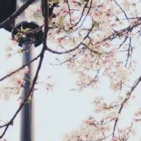 渔业养殖公司起名大全 精美渔业起名推荐大全