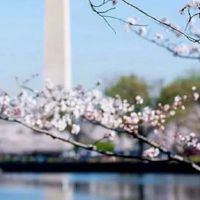 家庭养殖场取什么名字好 经典独特的养殖场好名字