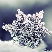 Pandora Sky Witch 2022 April Constellation