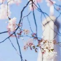 农业公司起名大全最新 热门最新企业名大全