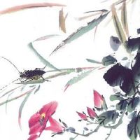 土象星座哪个是老大 处女座反应能力最强是事实吗