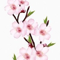 土象三憋谁最狠 最保守固执的星座是你吗