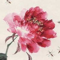 属鼠本命年佩戴什么好 生肖鼠戴转运珠平安转运