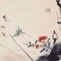 夫妻宫化忌入子女宫 对子女期望过高