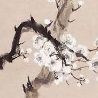 夫妻宫天府武曲 武曲婚姻难和谐美满