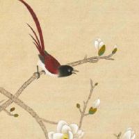 会克夫的六种女人面相 人中有痣的女人克夫