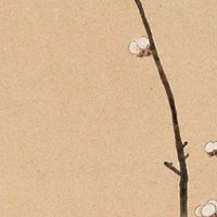 给养殖场起个好名2022 顺口养殖场企业取名大全