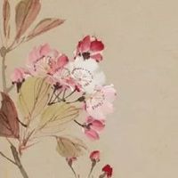 农资公司名字大全 企业取独特个性的名字