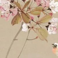 养鸡场起个大气的名字 盘点热门吉利的企业取名