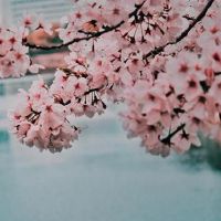 不是一个优秀的雅典娜周星座财富（4.4-4.10）