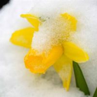 判断：12个星座一周财富预测（4.4-4.10）