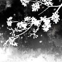 心理小型测试测试您的情感业务有多高