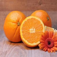 佐治亚州周星座财富（4.4-4.10）