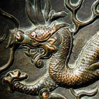 女人的生命是2019年的龙，桃花是如何盛开的，一个女人的生命，肖长，2019，核桃样式秘籍