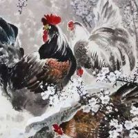 女人的爱是什么？