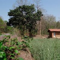 Lunita Astrology Tour一周星座（4.4-4.10）