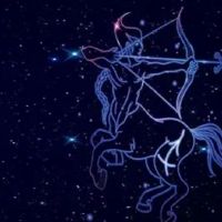 射手座今天的财富查询