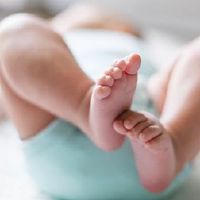 如何命名第16六个中午出生的老虎婴儿