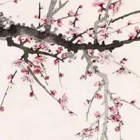 测试两个人的缘分指数 从姓名测试两个人的缘分