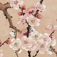 1995属猪女的命运与婚姻 稳中求上升