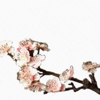 紫微斗数看2022年运势 预测流年运势方法