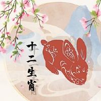 75兔子2022 47岁如何填写