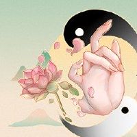 卯日柱女柱女详详详详女女女女女女女女