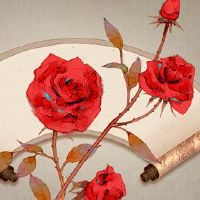 峰会，四个或三钱，男人的生命，diki