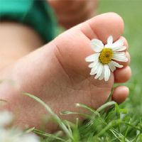 2022年初本赛季诞生名称的名称是什么？老虎婴儿选择