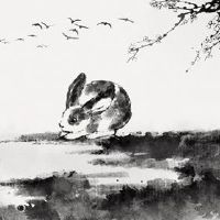 兔子女人爱上别人的表现是一个兔子爱上了你。