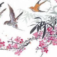 本命年生孩子有什么说法 生属虎孩子好不好