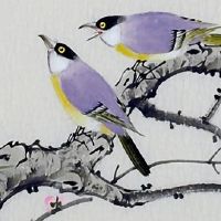 男童虎年12岁本命年 佩戴黄水晶智慧开运