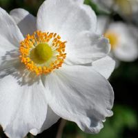 他们最缺席的三大星座，他们被卖了，他们也是钱