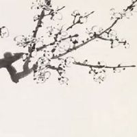 左眼皮有痣大富大贵 眼皮中藏痣的人很聪明