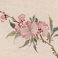 养猪场起什么名字最好 养猪场企业发展好名大全